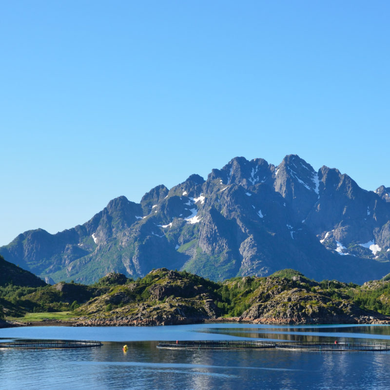 A photo of a fish net in the water with mountains and a blue sky
