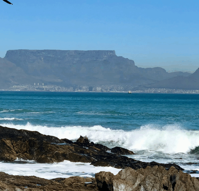 Aphiwe spotlight header
