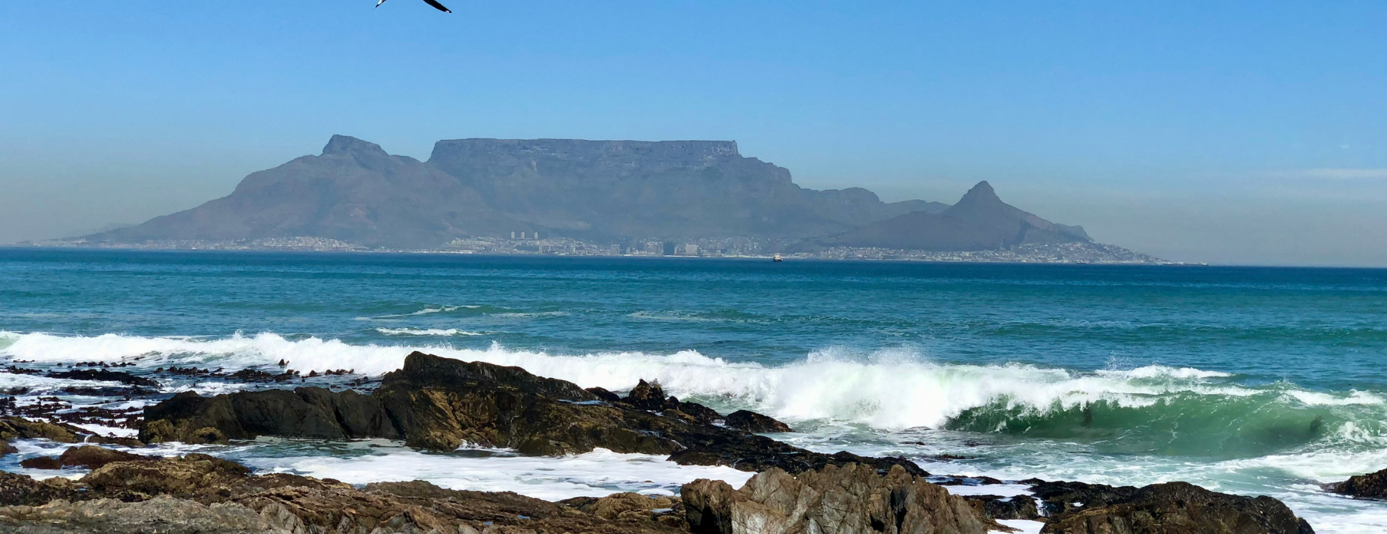 Aphiwe spotlight header