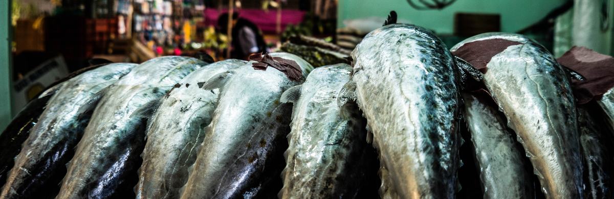 Large silver descaled fish ready to be bought at the market.