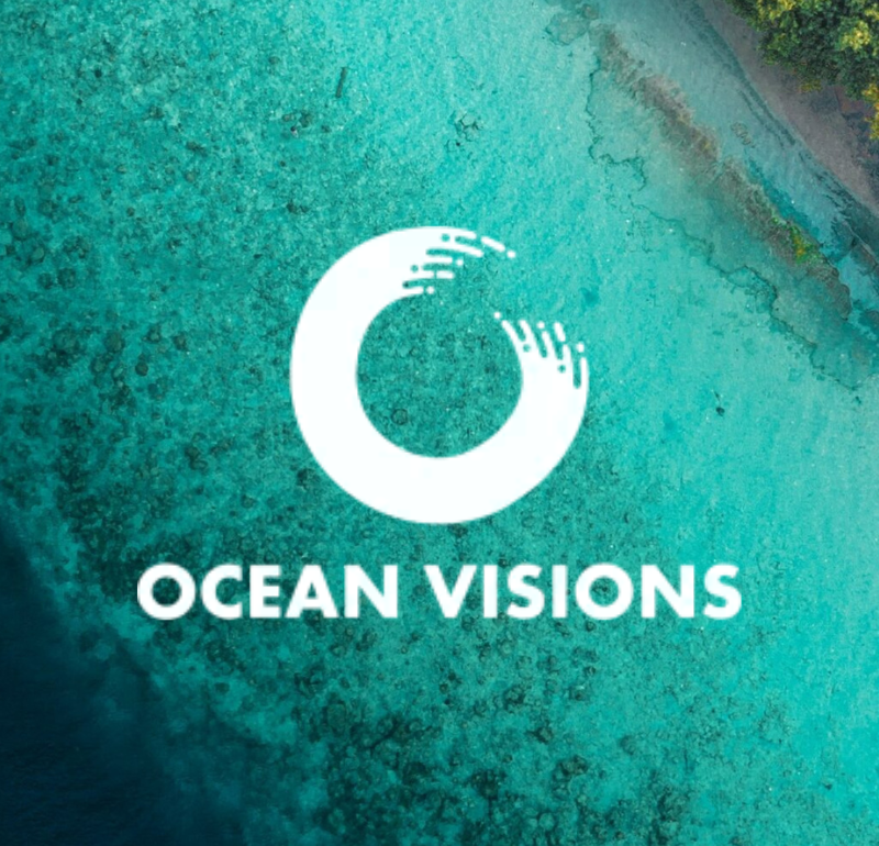 Coastal overhead shot in the background. Ocean Visions logo in the foreground.