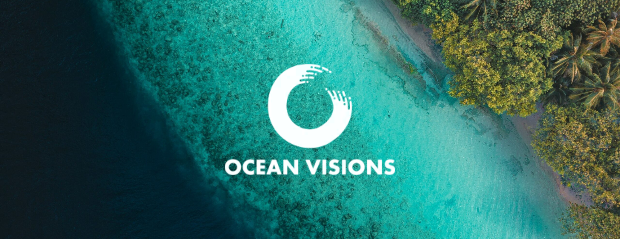 Coastal overhead shot in the background. Ocean Visions logo in the foreground.