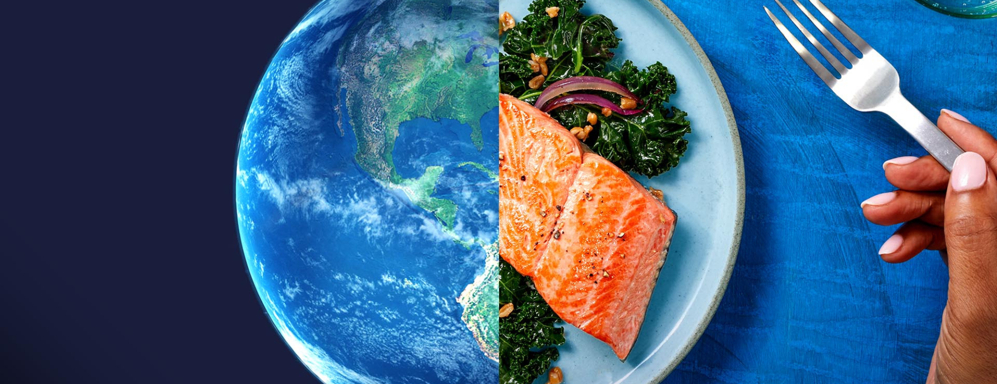 Plate with globe and salmon on either side.