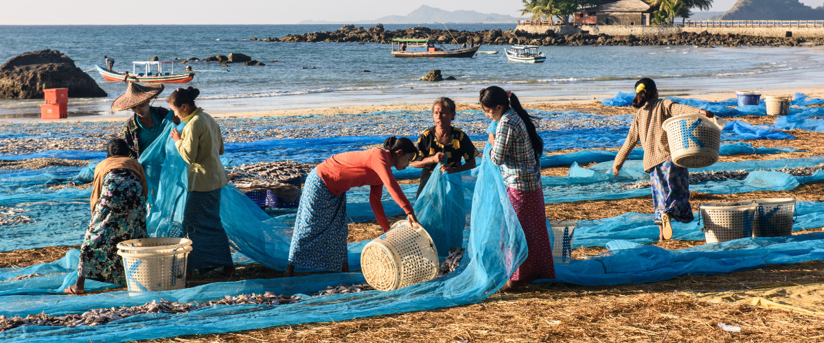 Women sort fish on beach with blue nets.