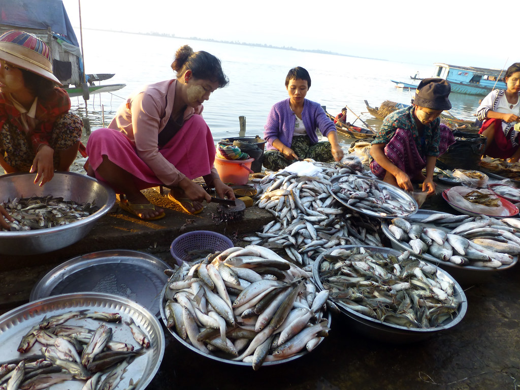 Women sorting and preparing to sell fish