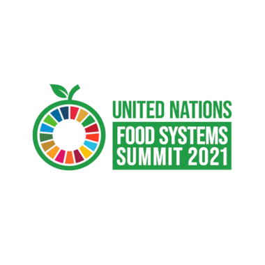 UNFSS logo.