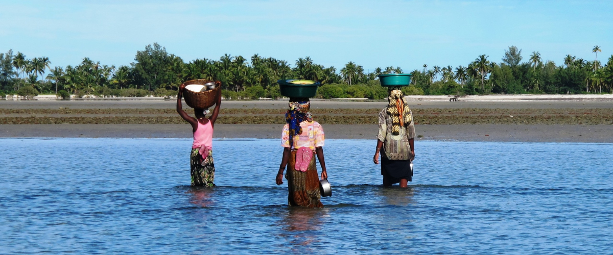 Three women walk out of the water carrying baskets on their heads.