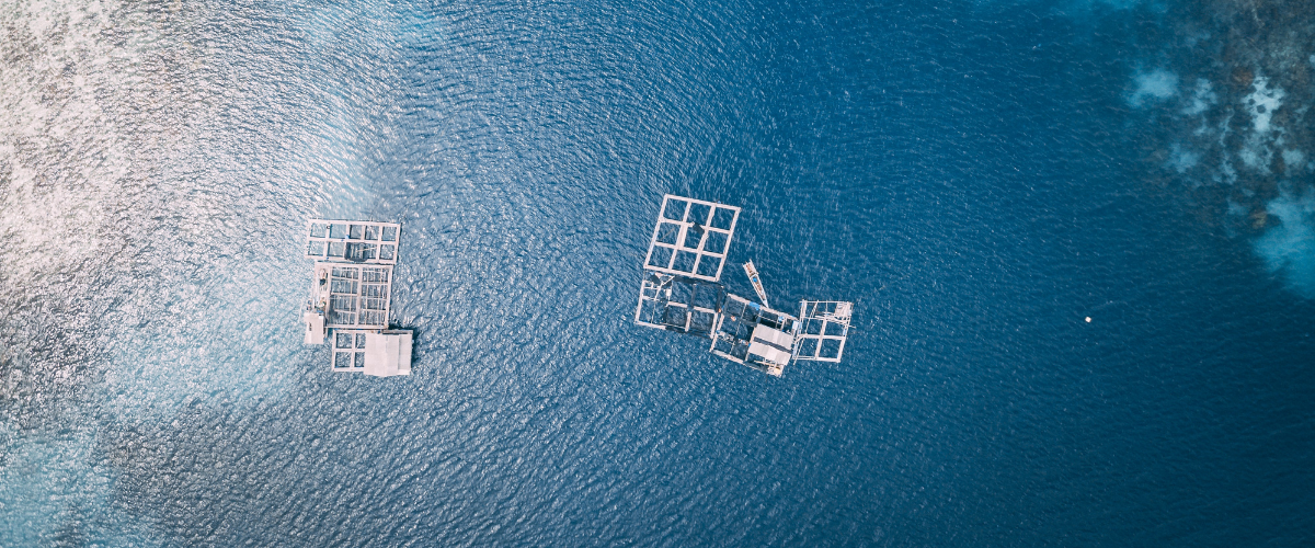 Aerial photography of white frames on top of blue ocean water.