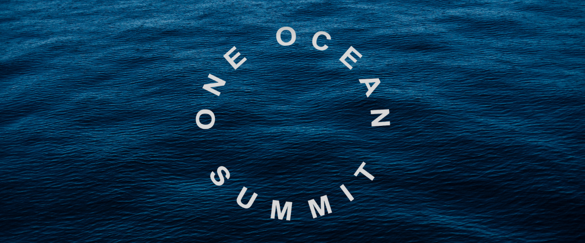 Ocean waves with writing One Ocean Summit.