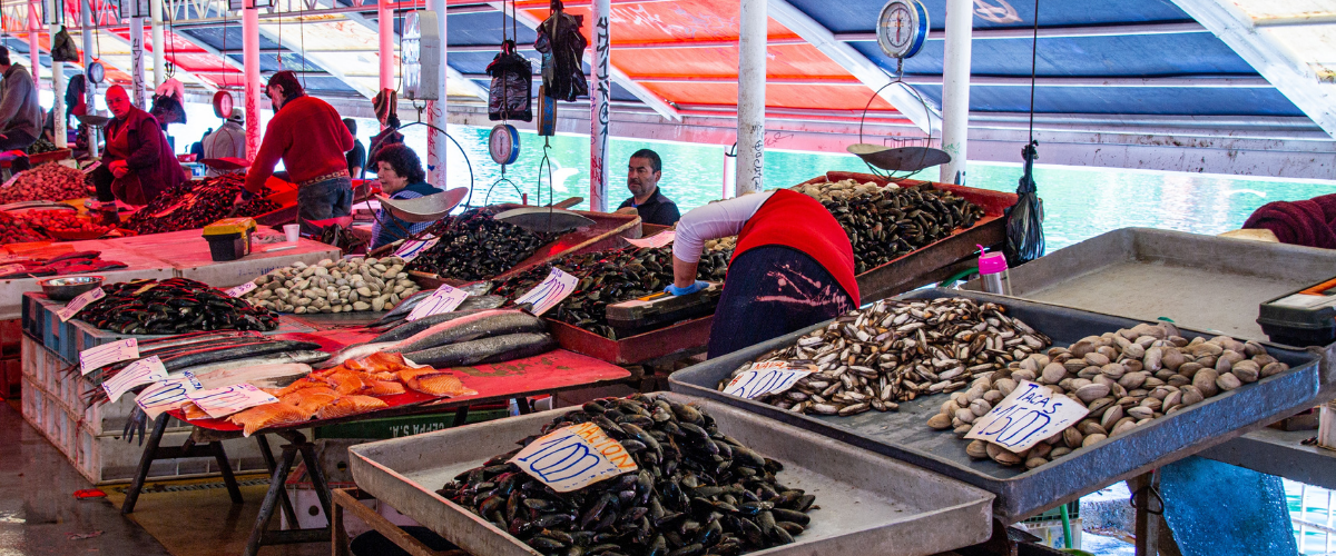 People sell different kinds of fish at an undercover seafood market, Chile.