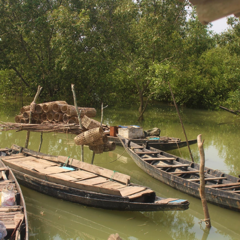 Webinar series: Topics at the nexus of climate change, fisheries, and blue foods