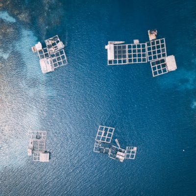 Aerial view of fish farm in the ocean.